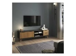 Meuble TV 2 Portes 2 Niches 2 Tiroirs Noir/Bois - PIGMENT