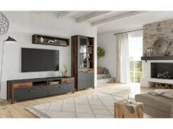 Ensemble Meubles Salon Collection WINDSOR. Coloris Gris Anthracite Et Chêne Foncé.