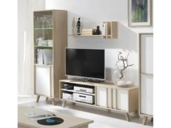 Ensemble Design Pour Votre Salon MALMO. Bibliothèque Petit Modèle + Meuble Tv + Etagère. Meuble Type Scandinave