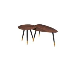 Lot De 2 Tables Basses BRANDO Marron