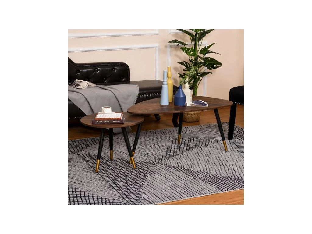 Lot De 2 Tables Basses BRANDO Marron – Image 5