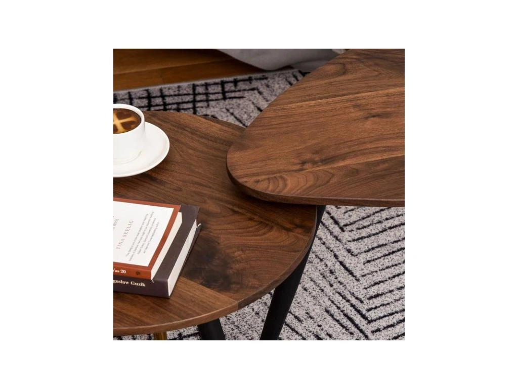 Lot De 2 Tables Basses BRANDO Marron – Image 6