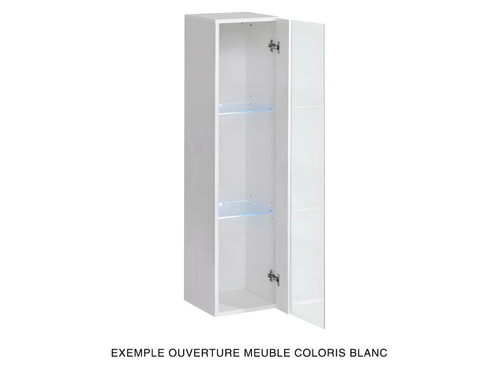 Vitrine Suspendue Noire Petit Modèle Avec 1 Porte Vitrée Et éclairage LED Inclus. Collection SWITCH. – Image 4